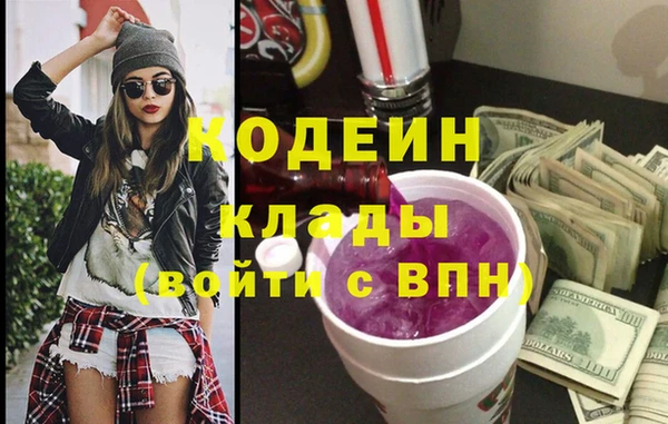 хмурый Бородино