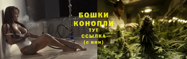 mdpv Богданович