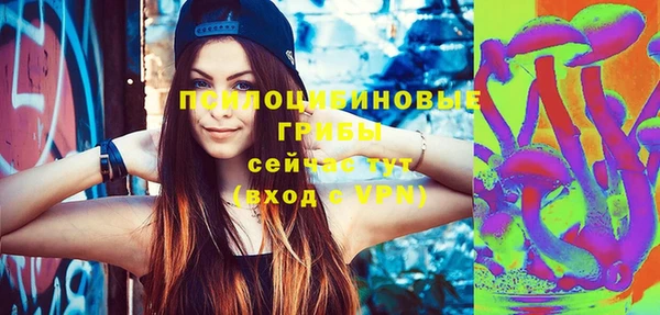 spice Бронницы