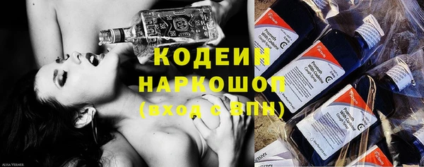 хмурый Бородино