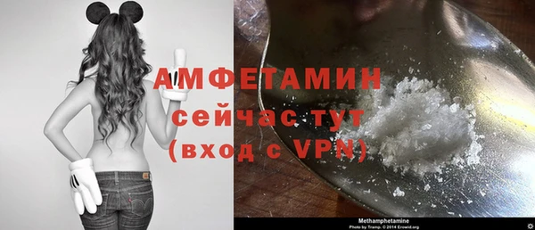 хмурый Бородино